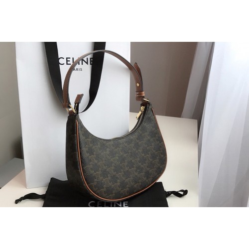Celine Ava Triomphe Bag in Triomphe Canvas and calfskin